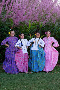 Pollera de Diario o Pollera Chiricana